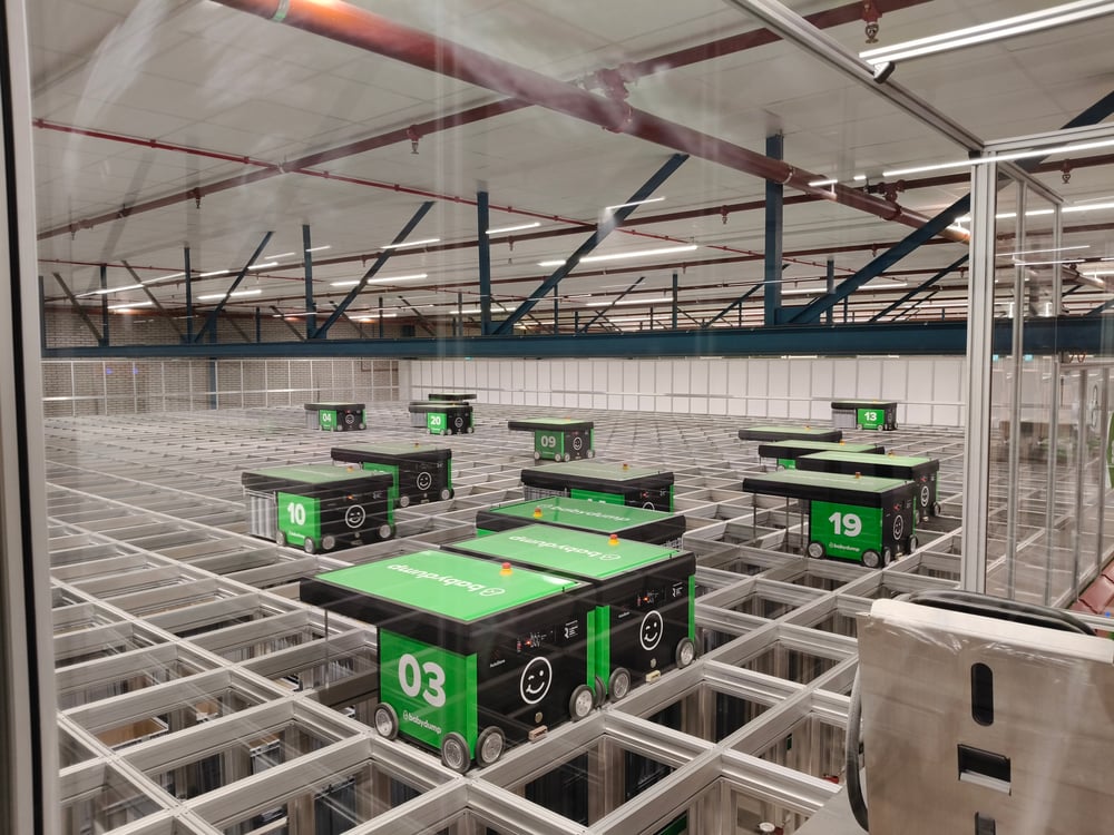 IMG20250314073710 IMG20250314073710